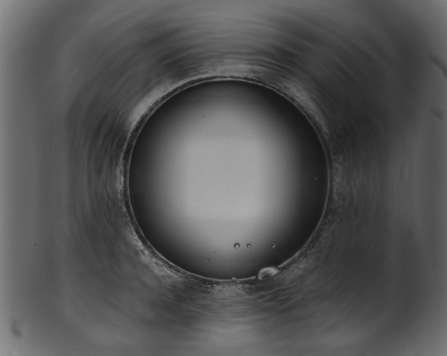 X0000102030944200807181347