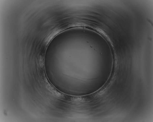 X0000102030945200807181347