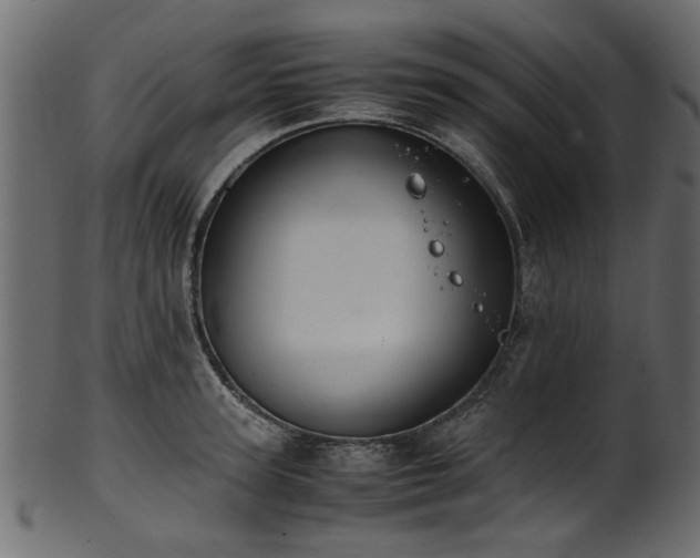 X0000102030947200807181347