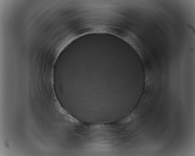 X0000102030950200807181347