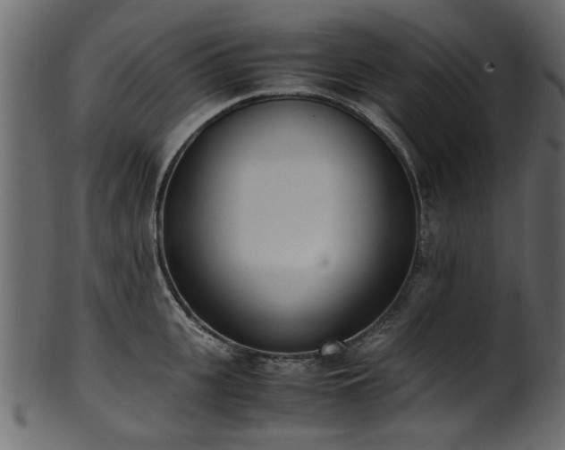 X0000102030951200807181347