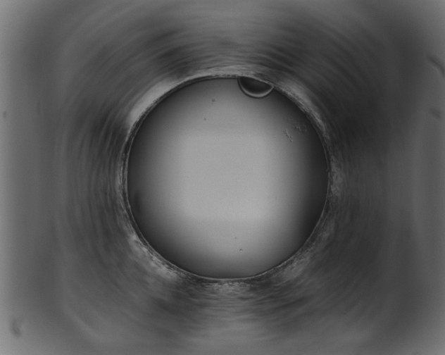 X0000102030952200807181347