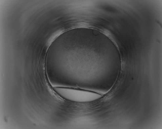 X0000102030954200807181347