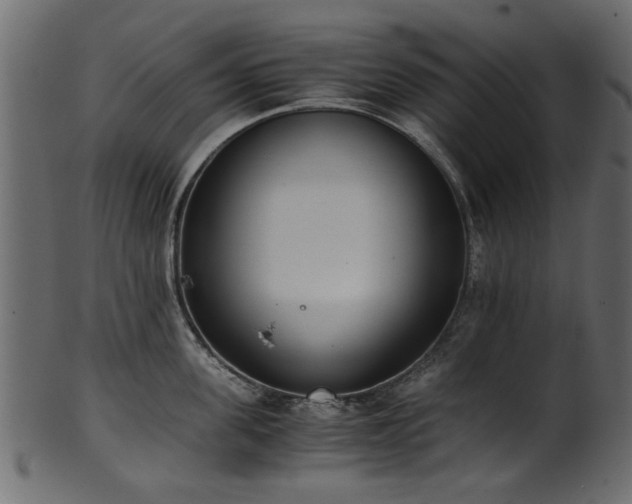 X0000102030955200807181347