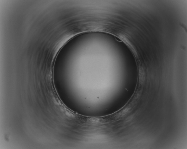 X0000102030956200807181347