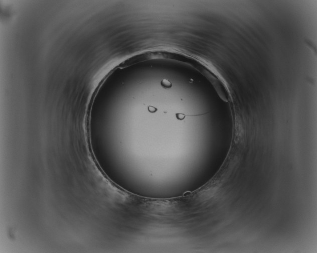 X0000102030959200807181347