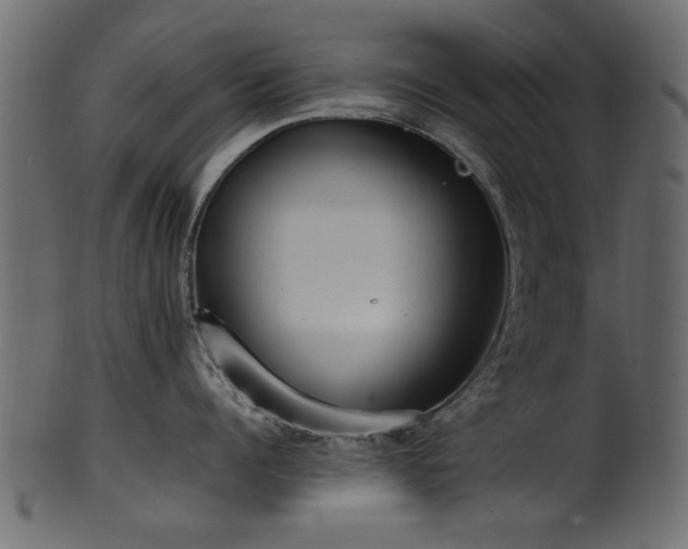 X0000102030960200807181347