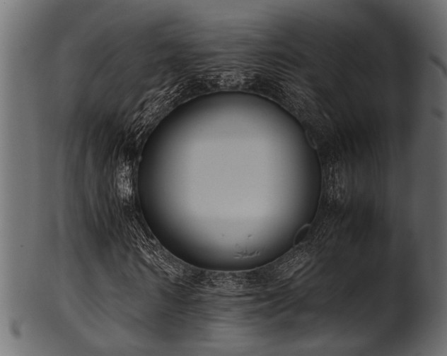 X0000102030962200807181346