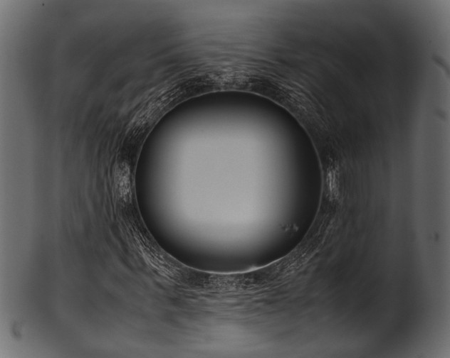 X0000102030963200807181346