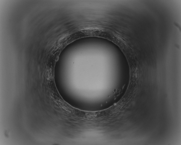 X0000102030965200807181346