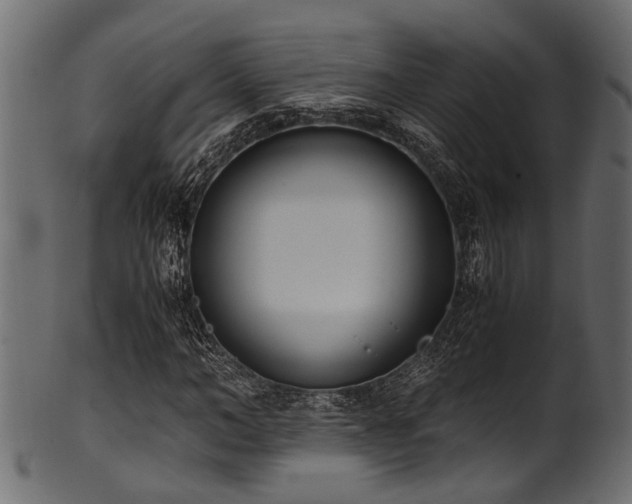 X0000102030966200807181346