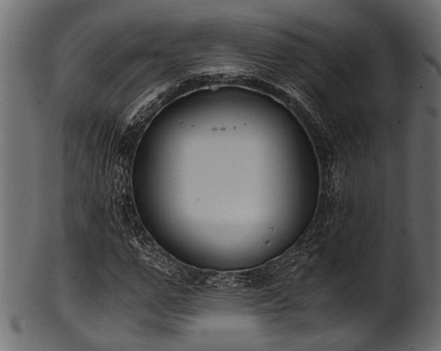 X0000102030967200807181346