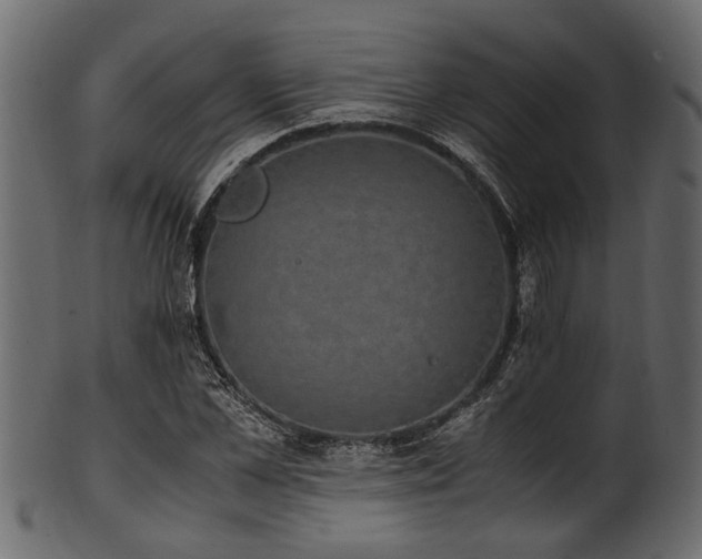 X0000102030973200807181346