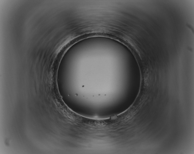 X0000102030975200807181346