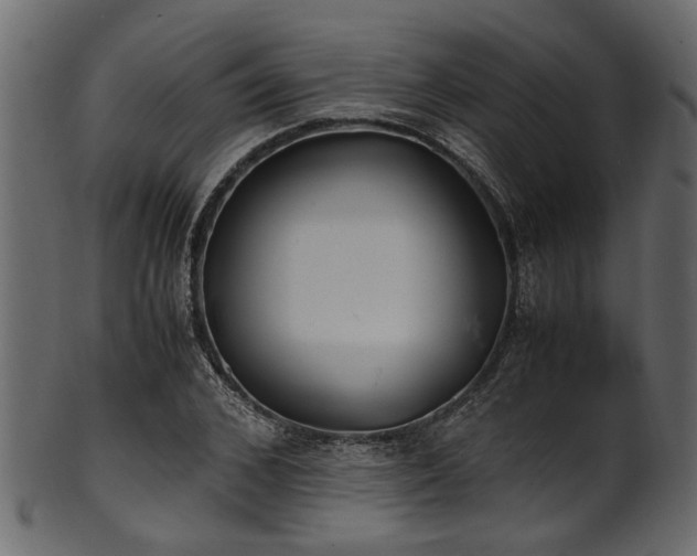 X0000102030976200807181346