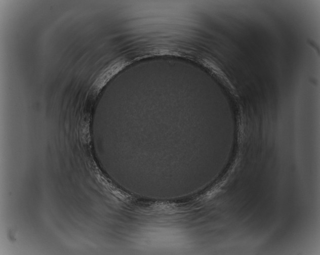 X0000102030977200807181346