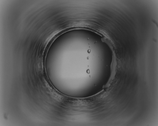 X0000102030980200807181346