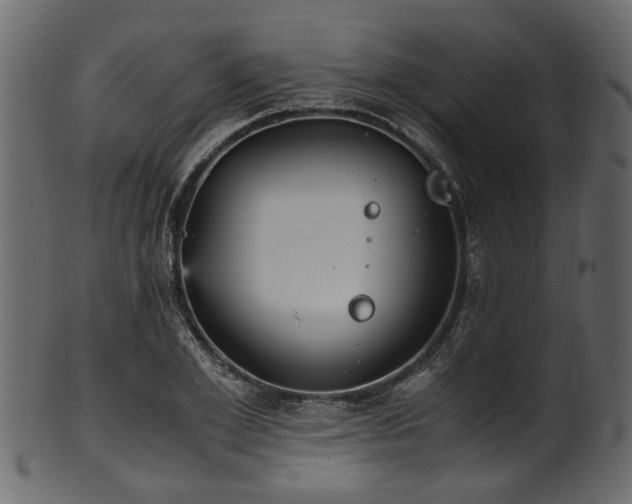 X0000102030981200807181346