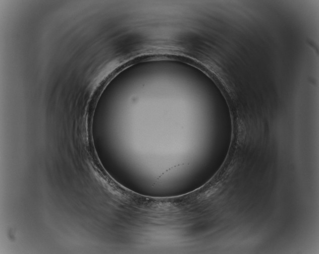 X0000102030982200807181346