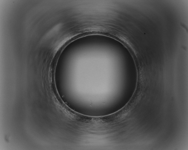 X0000102030983200807181346