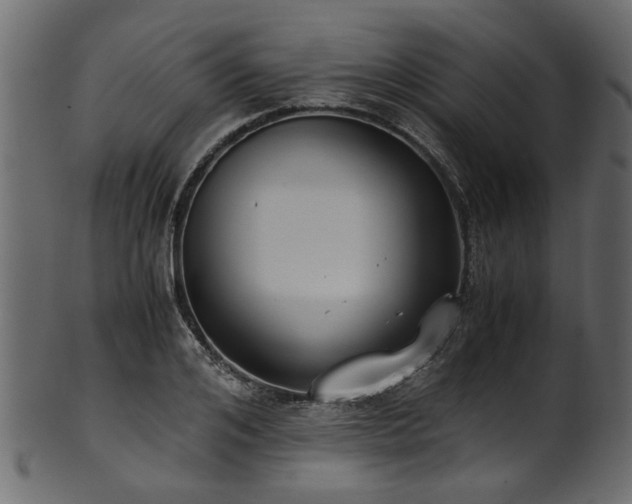 X0000102030984200807181346