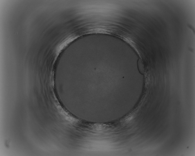 X0000102030987200807181346