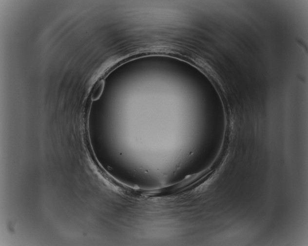 X0000102030989200807181346