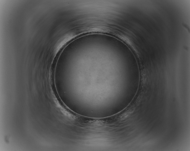 X0000102030991200807181346