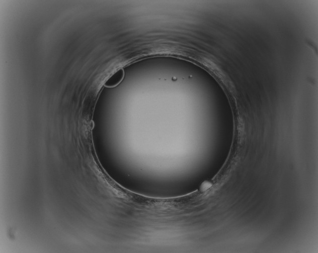 X0000102030993200807181346