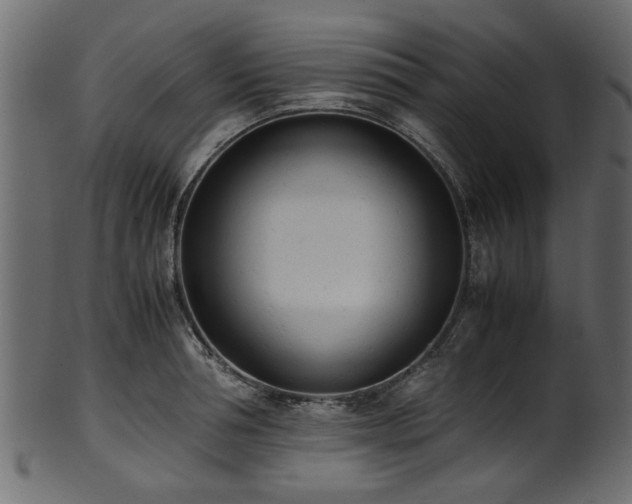 X0000102030994200807181346