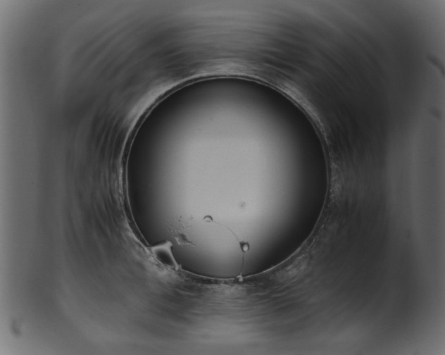 X0000102030996200807181346