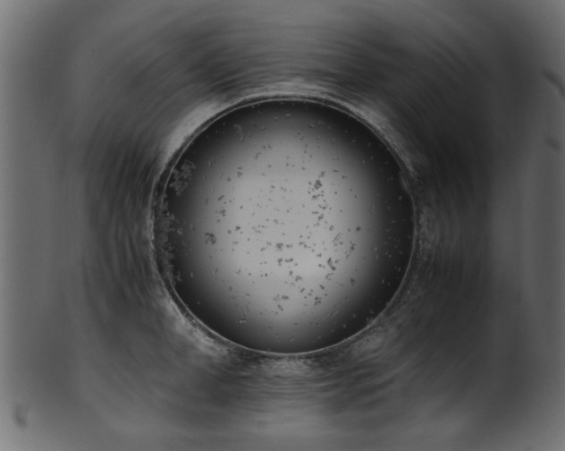 X0000102030998200807181346