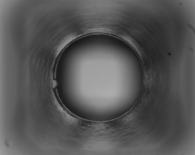 X0000102030999200807181346