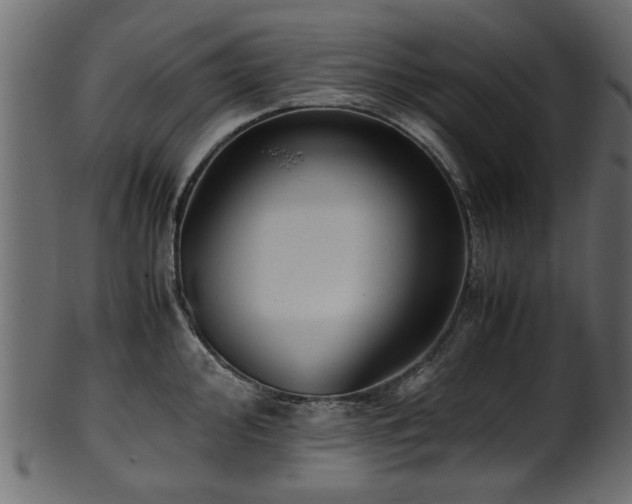 X0000102031000200807181346