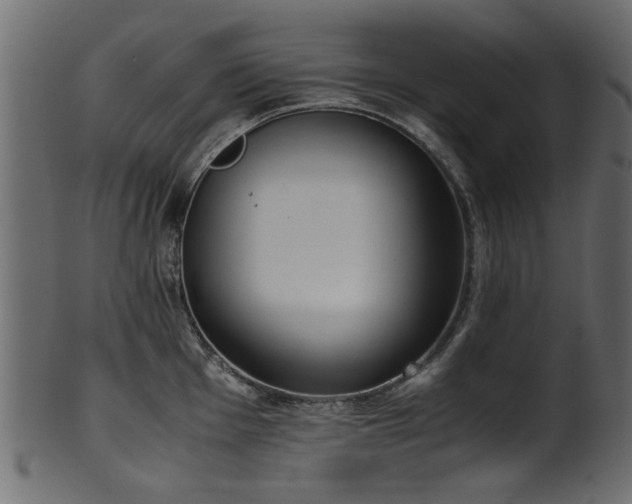 X0000102031001200807181346