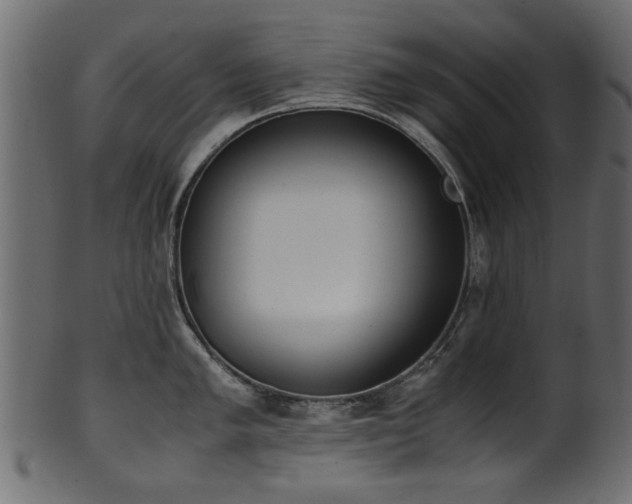 X0000102031005200807181346