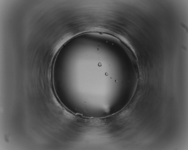 X0000102031007200807181346