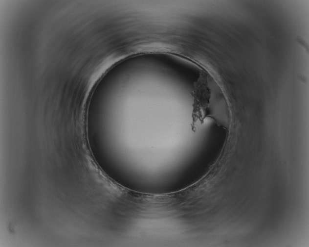 X0000102031008200807181346