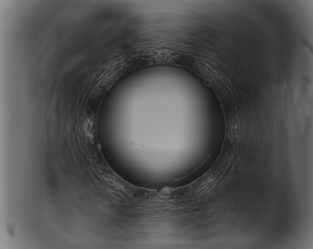 X0000102031010200807181345