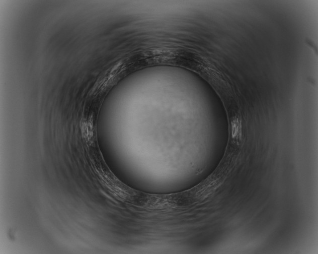 X0000102031011200807181345