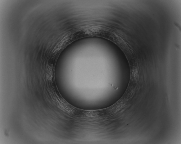 X0000102031012200807181345