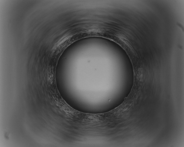 X0000102031015200807181345