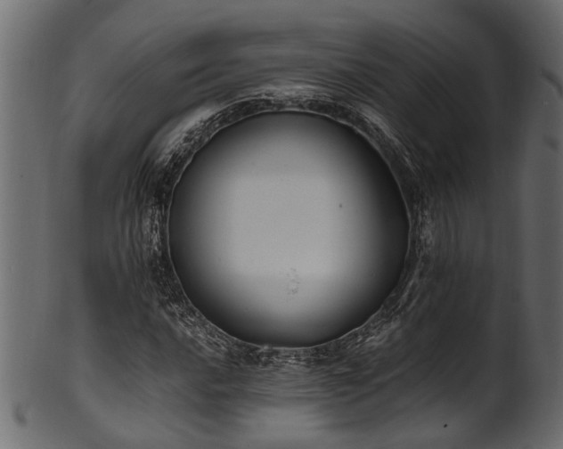 X0000102031016200807181345