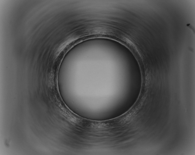 X0000102031019200807181345