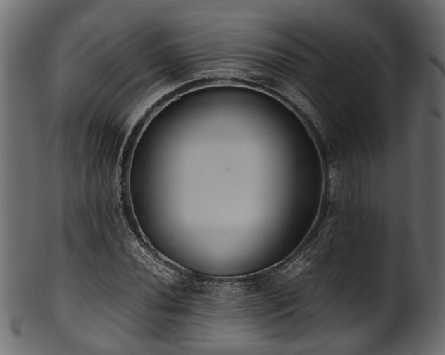 X0000102031020200807181345