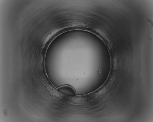 X0000102031021200807181345