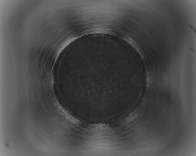 X0000102031024200807181345