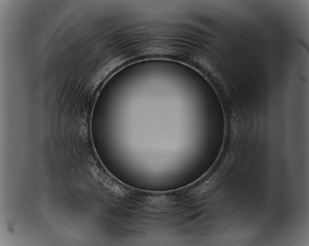 X0000102031025200807181345