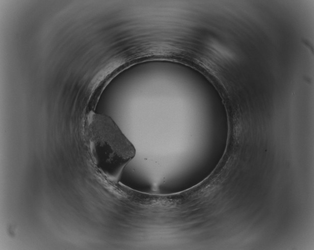 X0000102031026200807181345