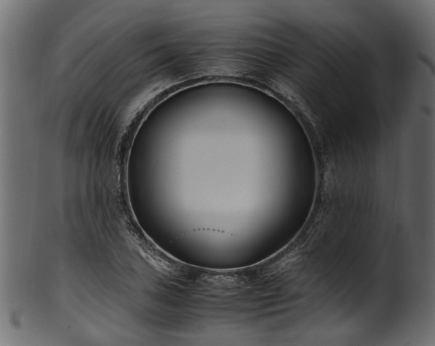 X0000102031027200807181345